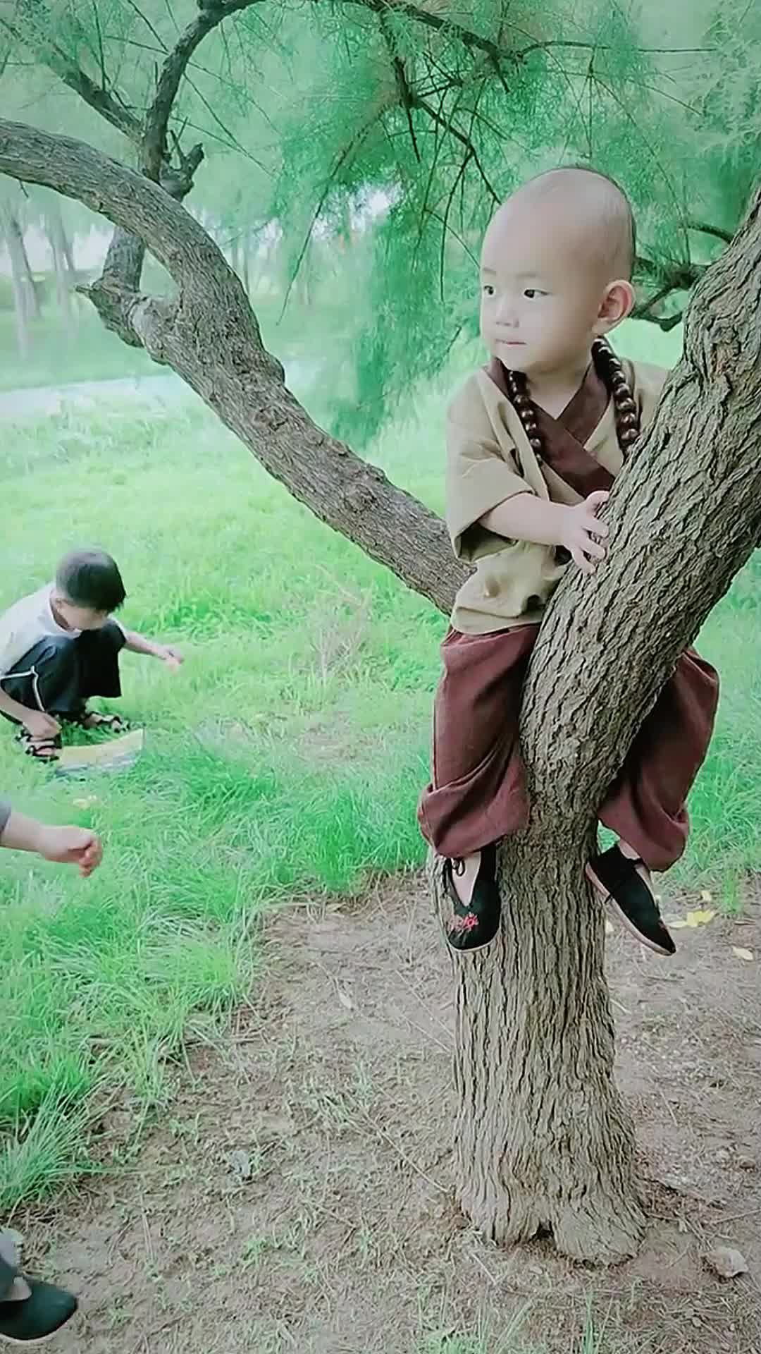 @saolin71
