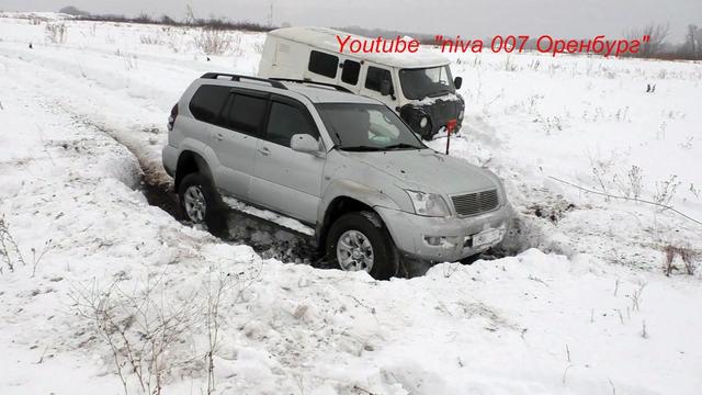 @niva 007