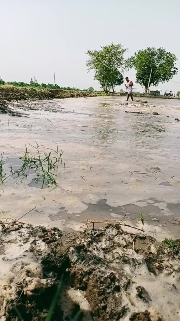 @Himanshumehta786