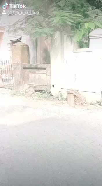 @❤Tanuja Patil❤