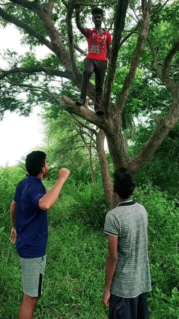@user562452