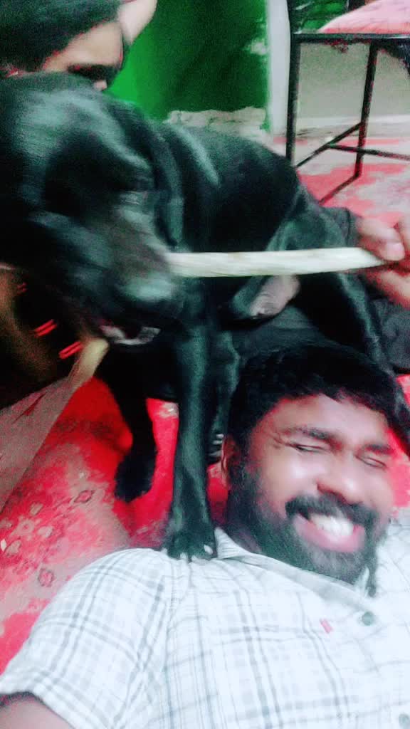 @കട്ടോട് ഷാജി