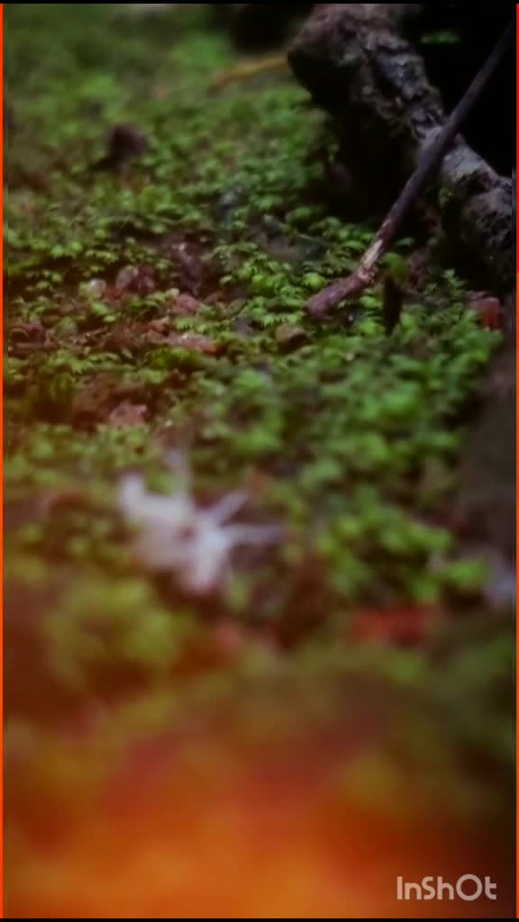 @_mr_photo_grapher_