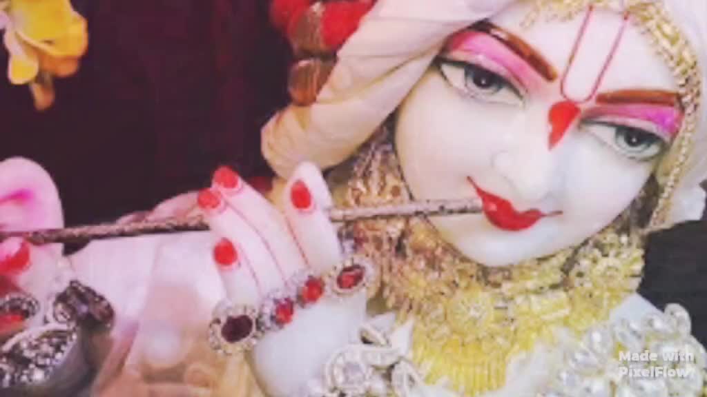 @meena rajpoot