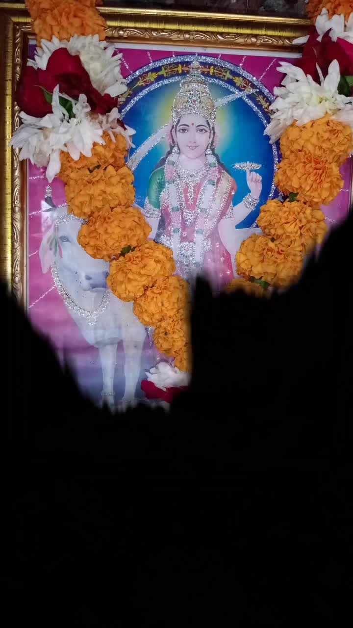 @@MaheshKatodiya_8182