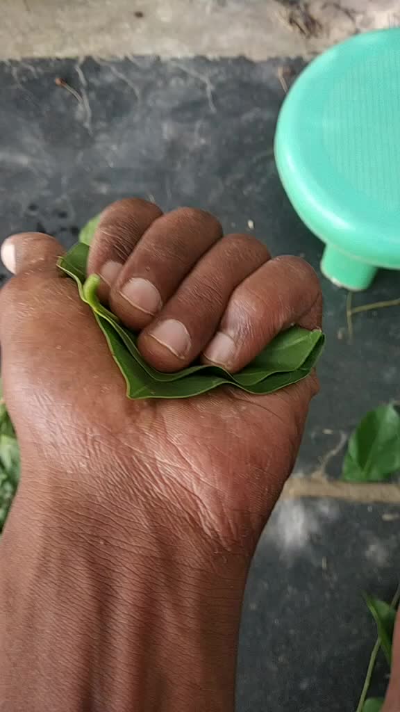 @pavanbalu