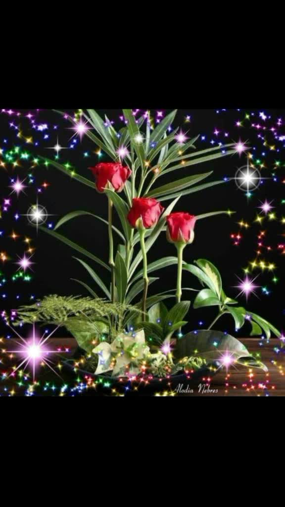 @user8969225726950