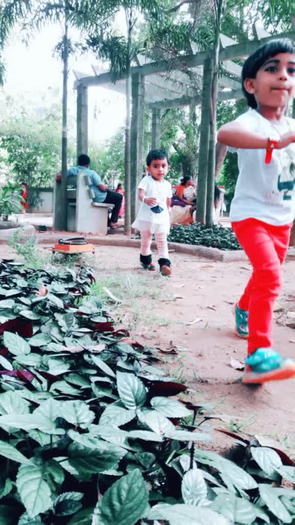 @Shami Shahi