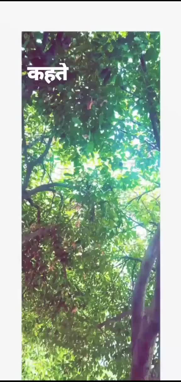 @Shivam Kathuria ❤️