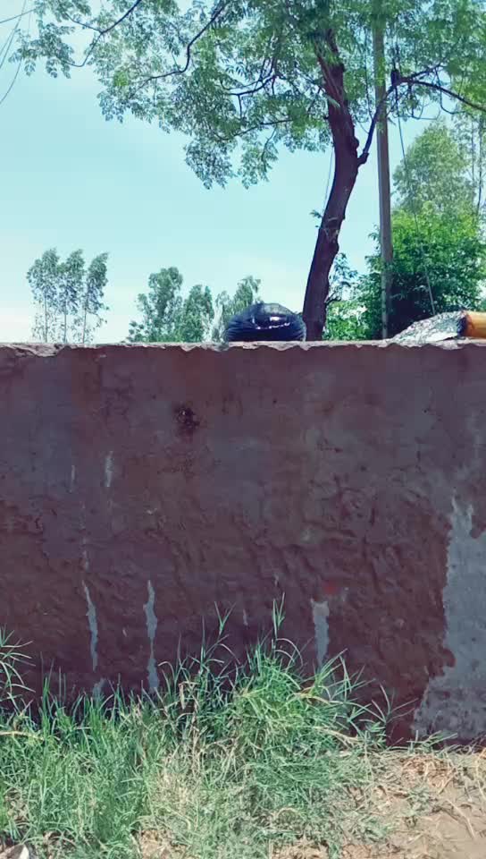 @jugraj Singh mehra