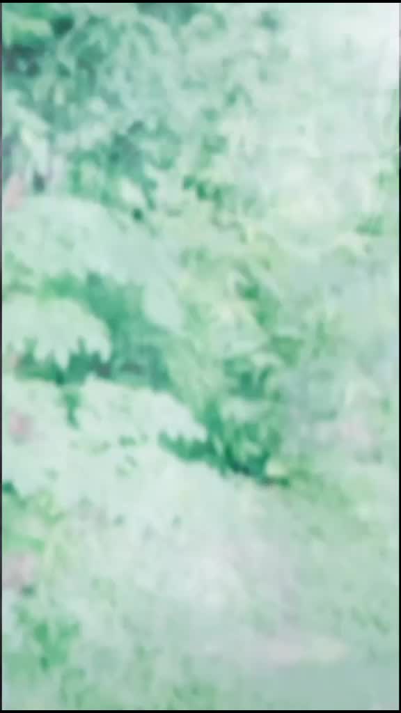 @💞k&icirc;&Ntilde;g &oslash;FY&oslash;&ucirc;R H&euml;&auml;RT