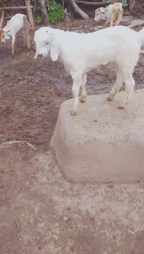@Sachin Yadav