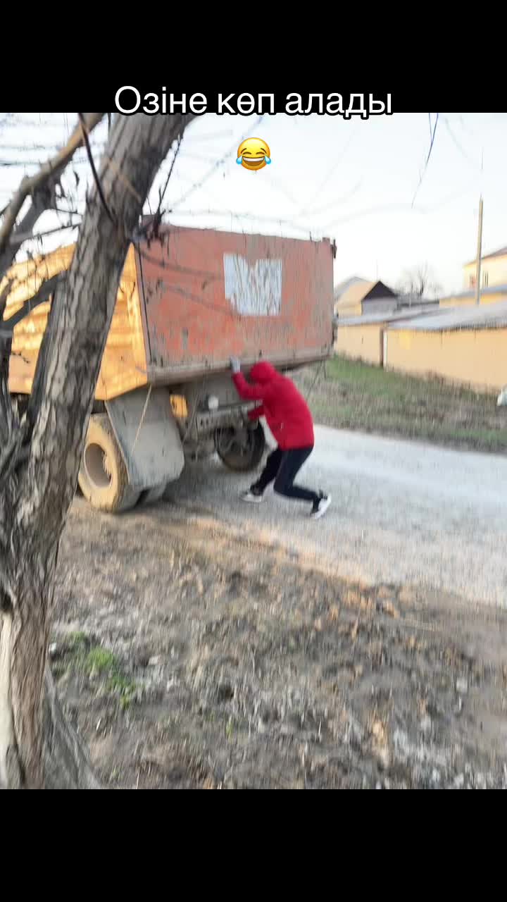 @🕊