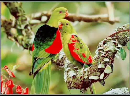 @@ junaid_ khan_2075