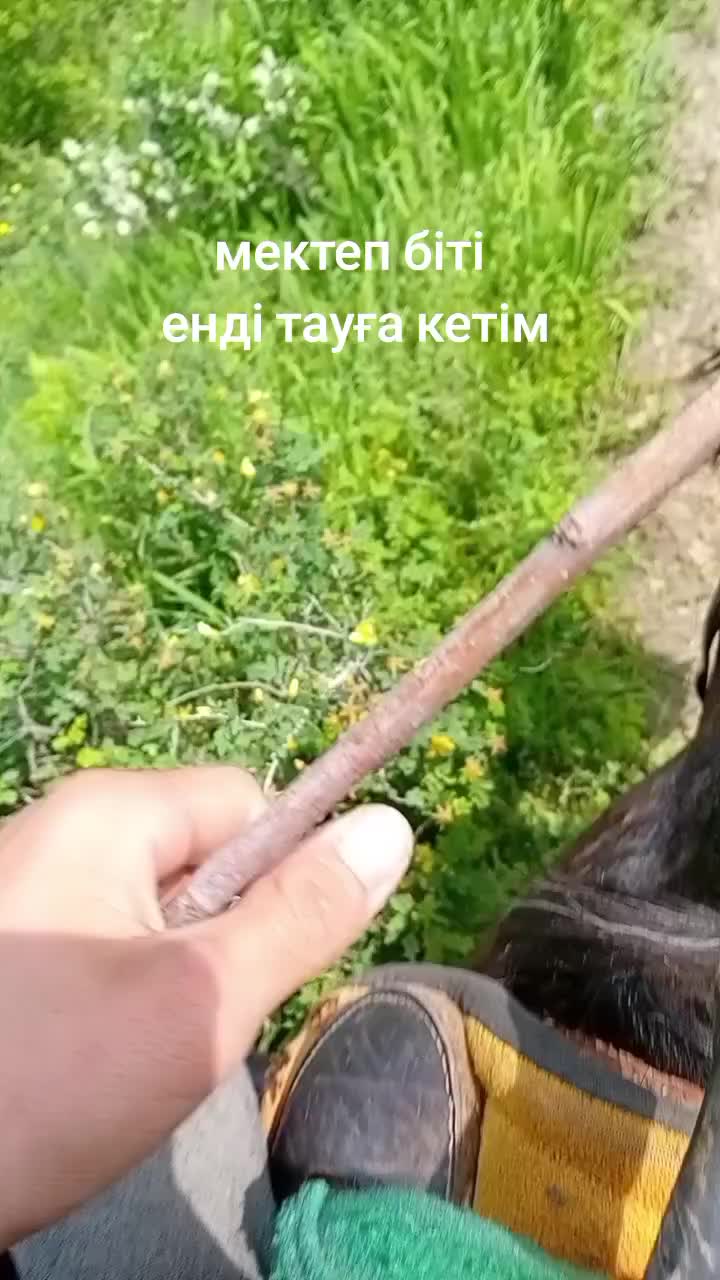 @Siri2009