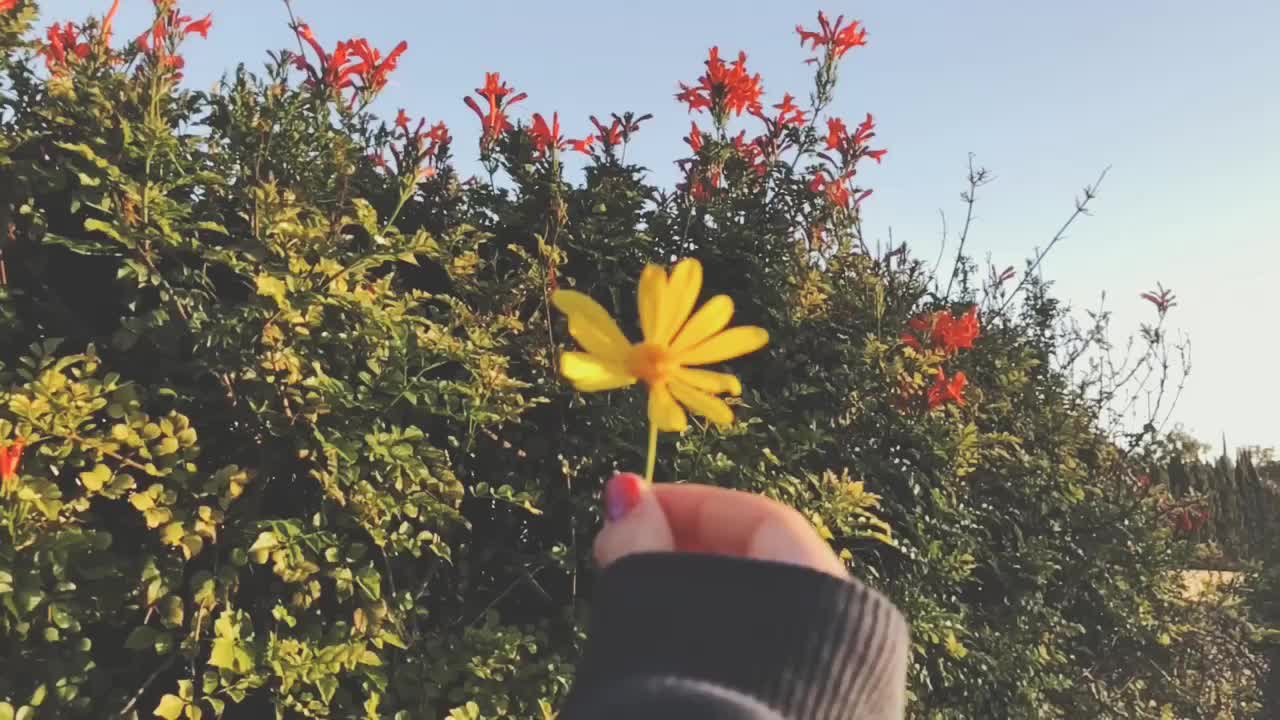 @Shay ♡
