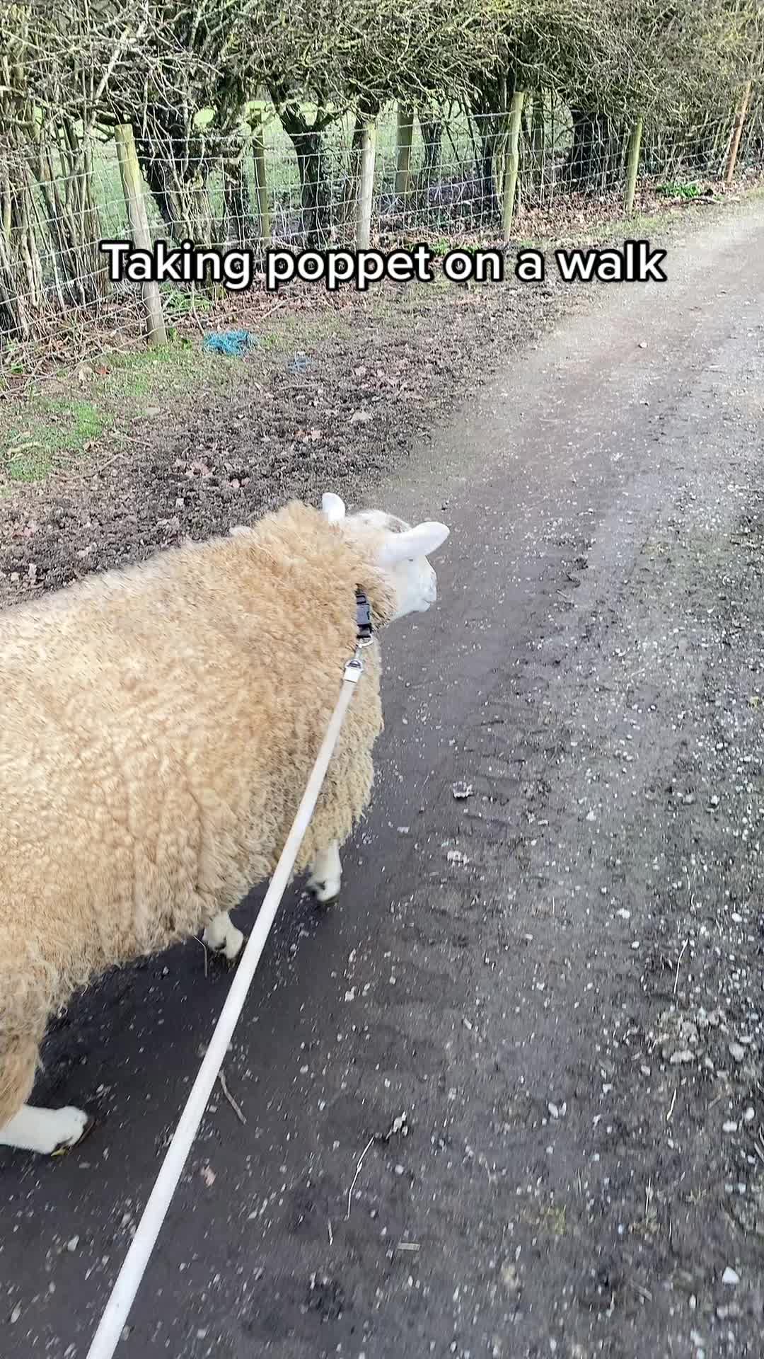 @Farming7744