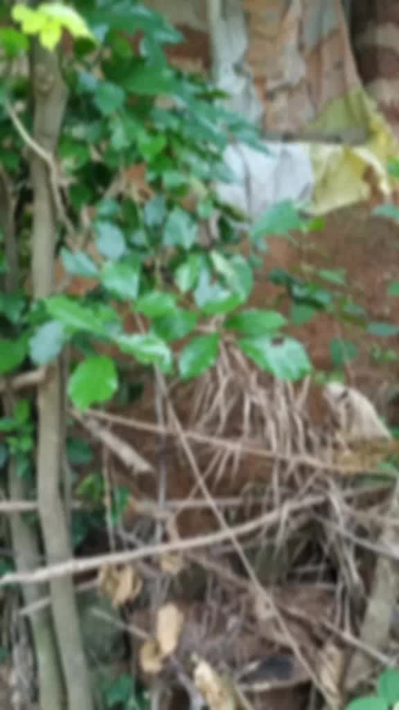 @Rajasmita Mohanty