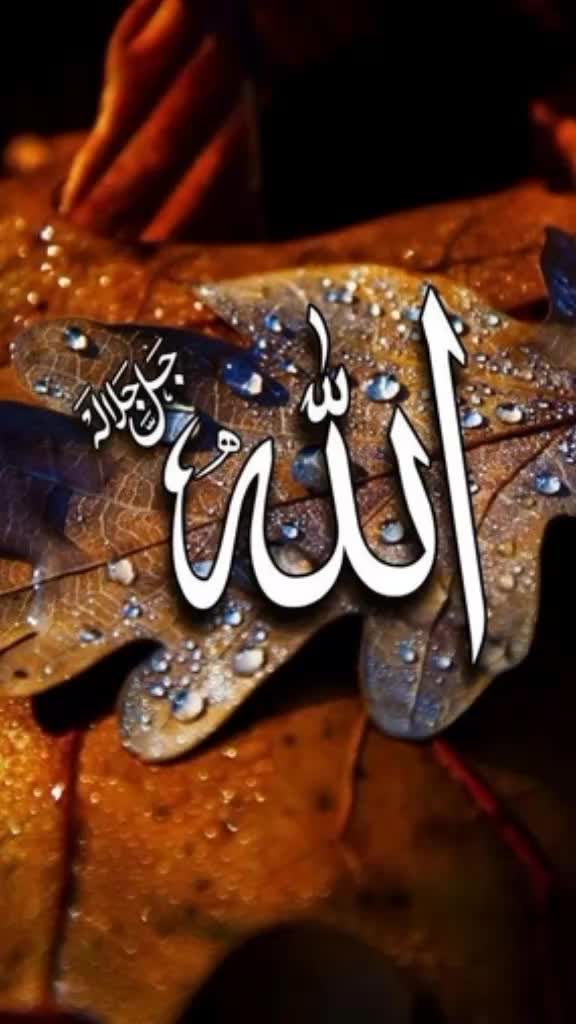 @salmansalman