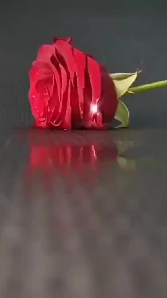 @নিউ টাউনের মেয়ে আমি