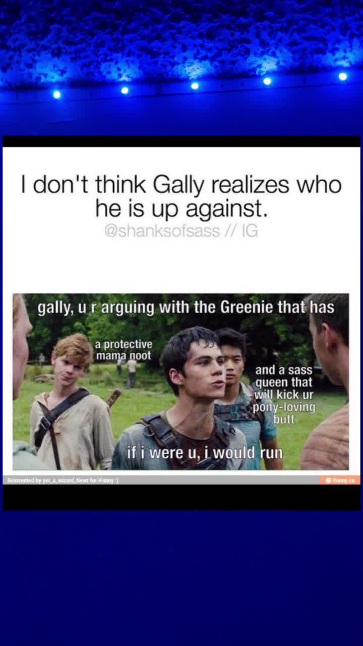 @Maze runner