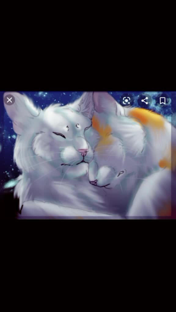 @user4070396009381