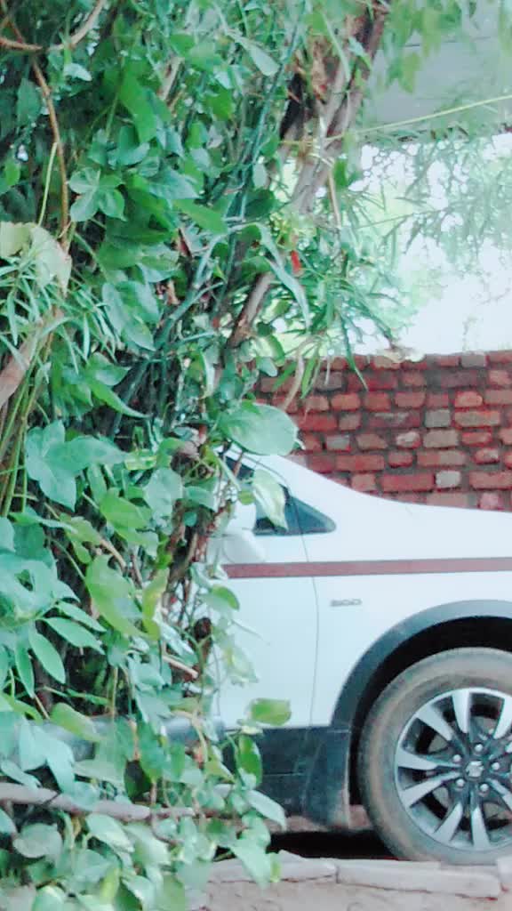 @Shrivastava_Girl_129