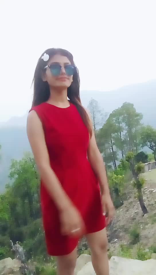 @Puzzu Yogi