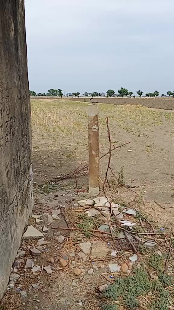@Mohit143