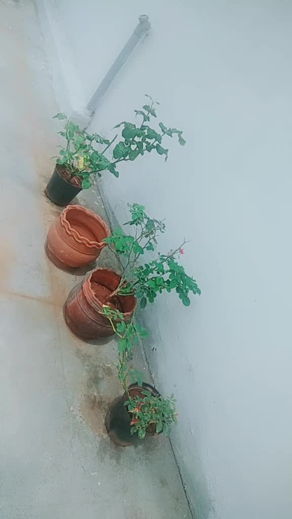 @Sugu Rohith