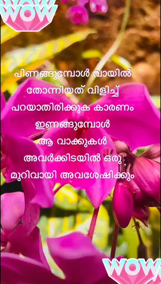 @user 💞Sajimon's💞