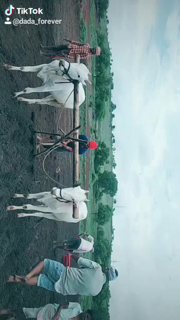 @Sudheer D K