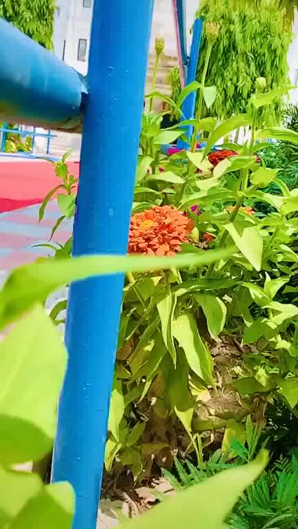 @Sapna Bhagat