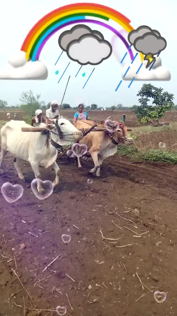 @Ankit Dhore