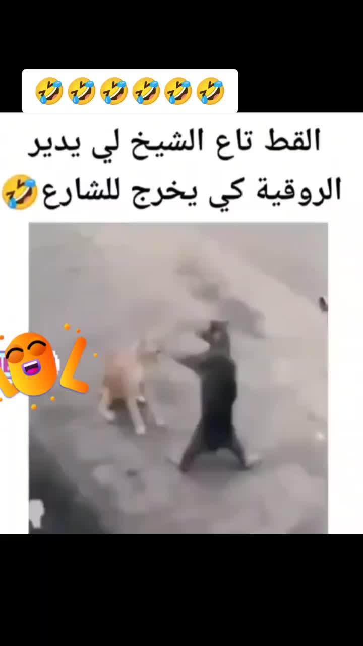 @Fatma 🇩🇿❤️🇵🇸
