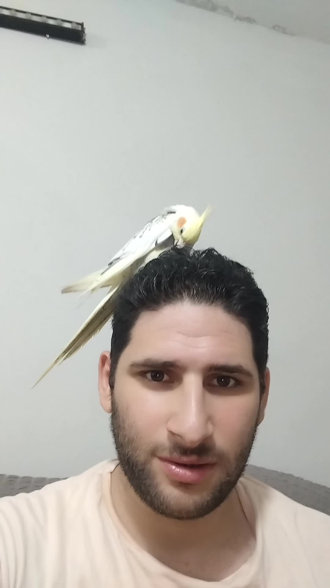 @الامبرطور