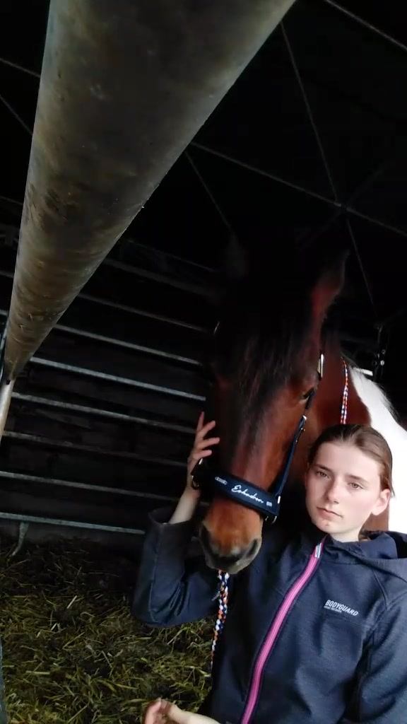 @Pony.gruppe❤️✨