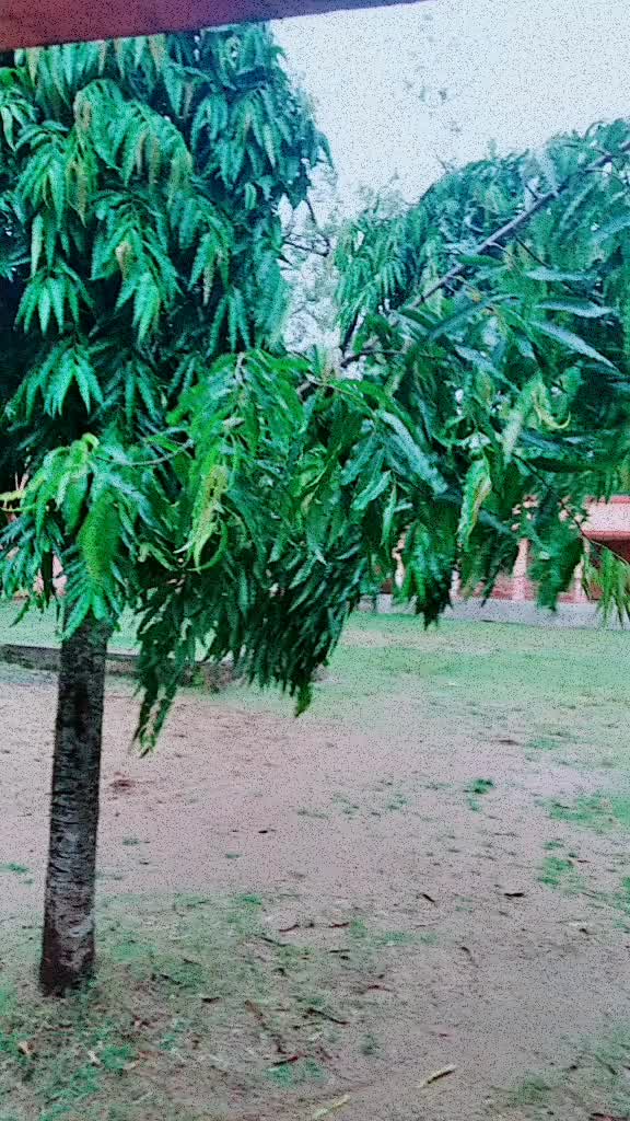 @⚡GOUTAM DAS⚡