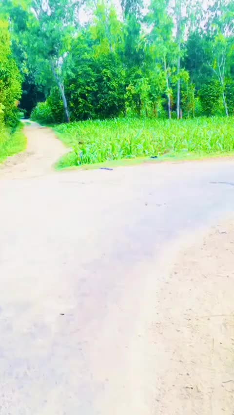 @Mohd Zeeshan Khan