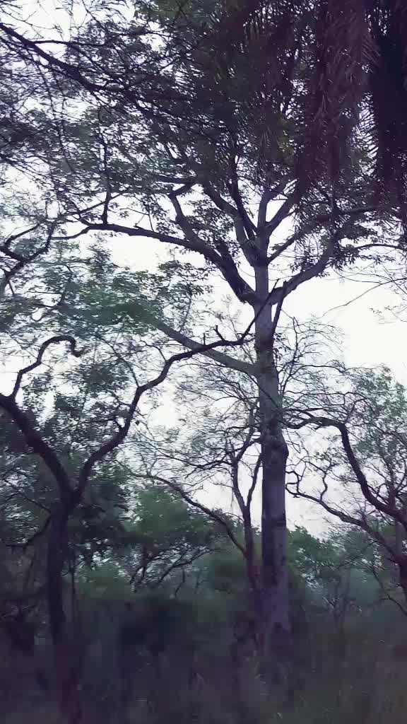 @l_am_sumangupta
