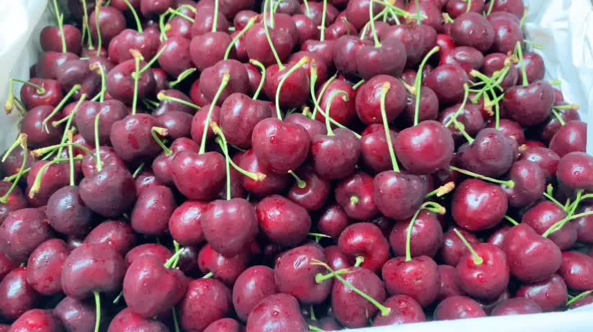@Transfruits