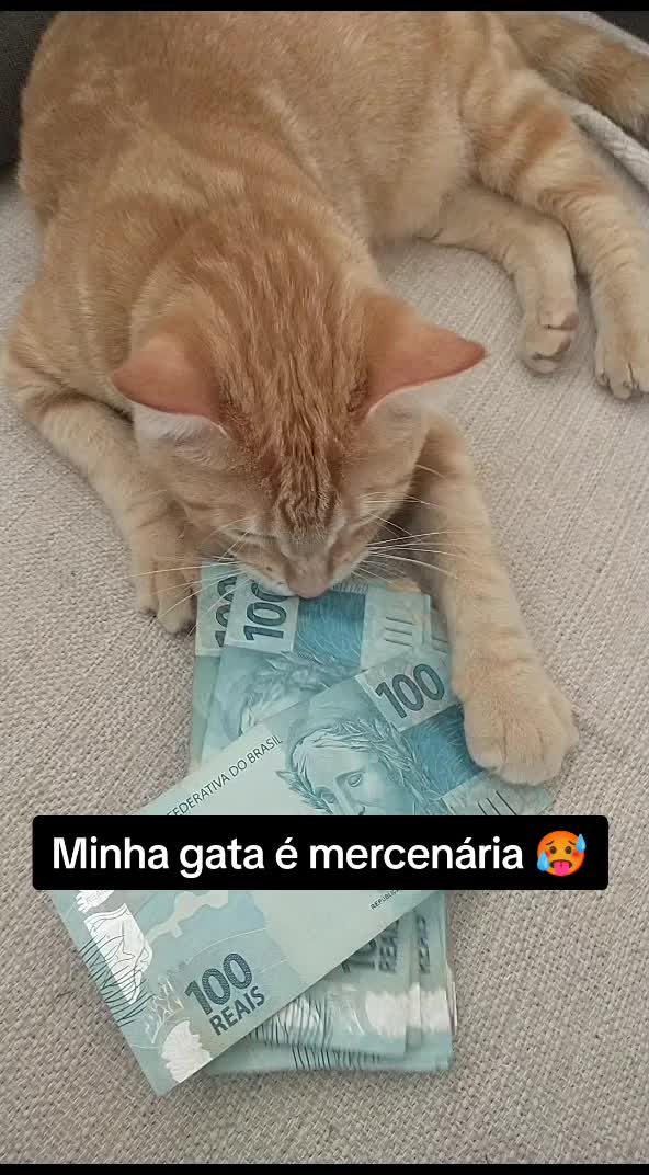 @gil.andradee