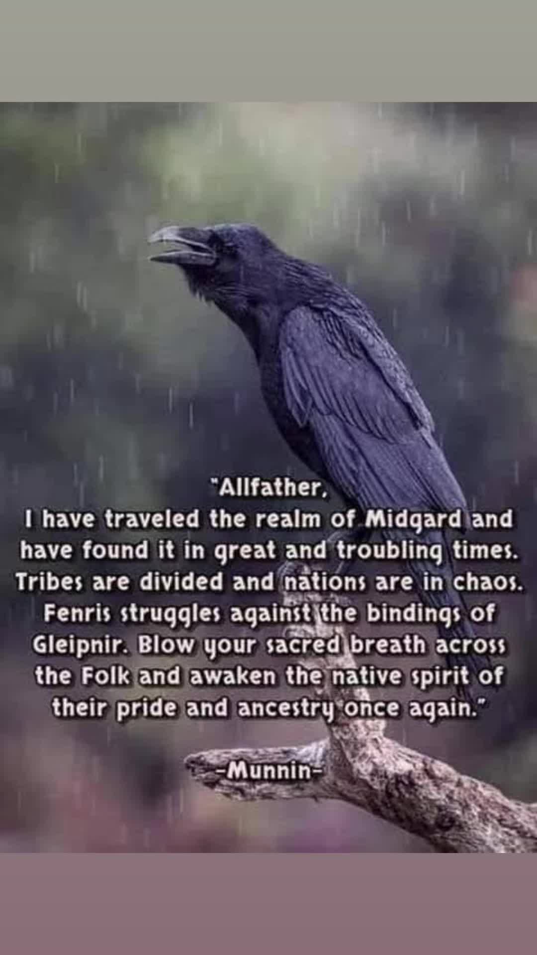 @vikinggododin1