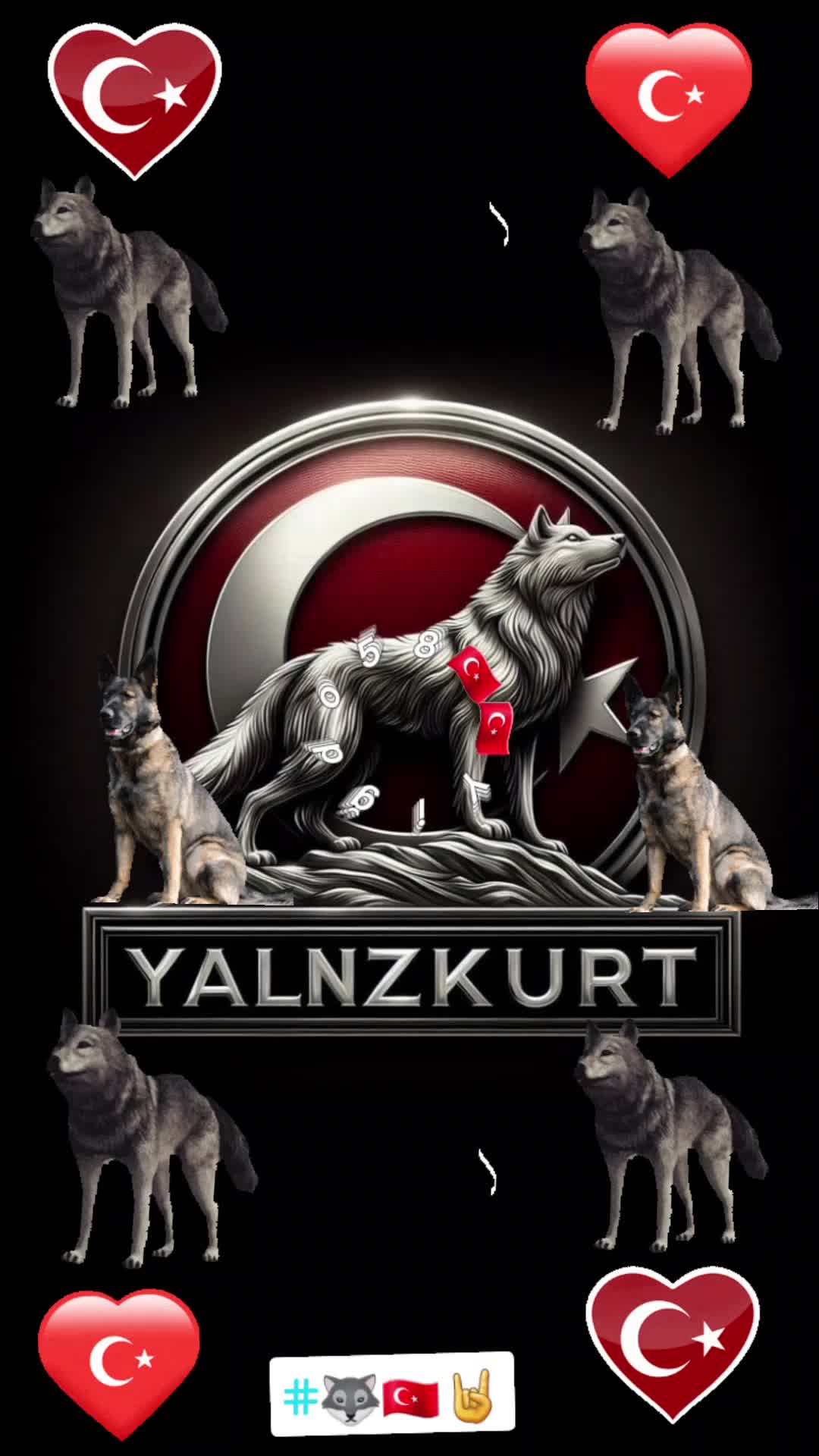 @🐺🇹🇷🤘BOZKURT ASENA🐺🇹🇷🤘