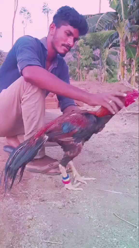 @Srinivasan