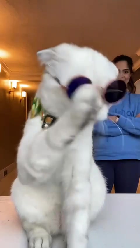 @Faezfit