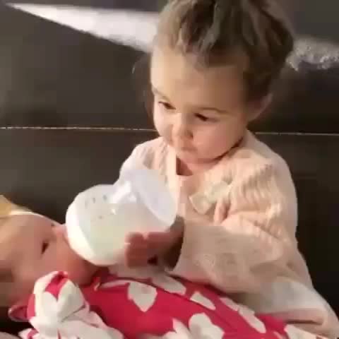 @TikTok Viewer