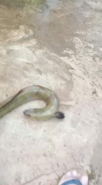 @G,vinod kumar