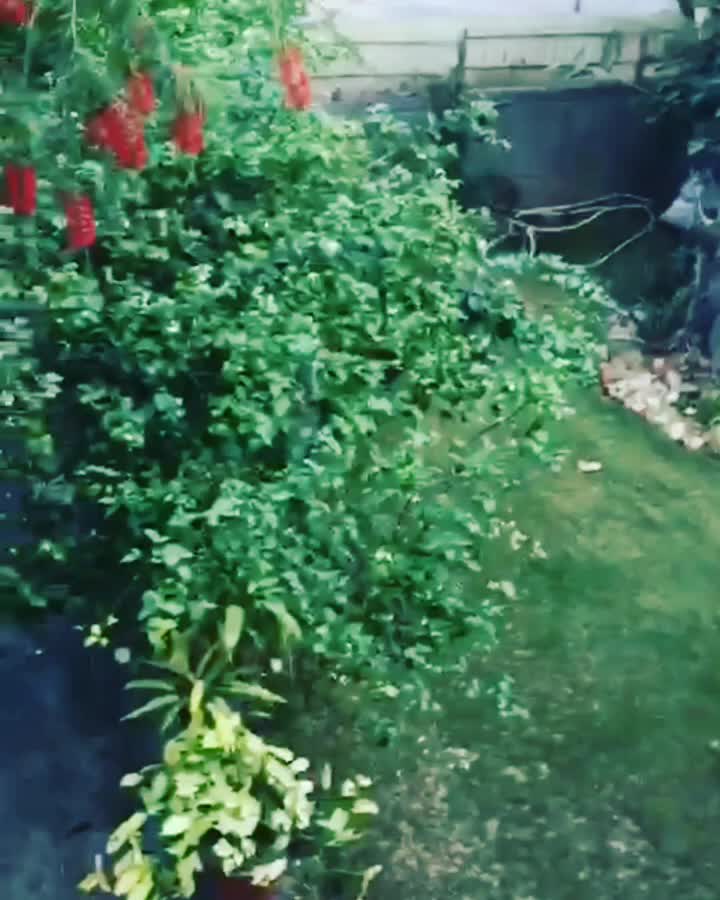 @Neha Raju