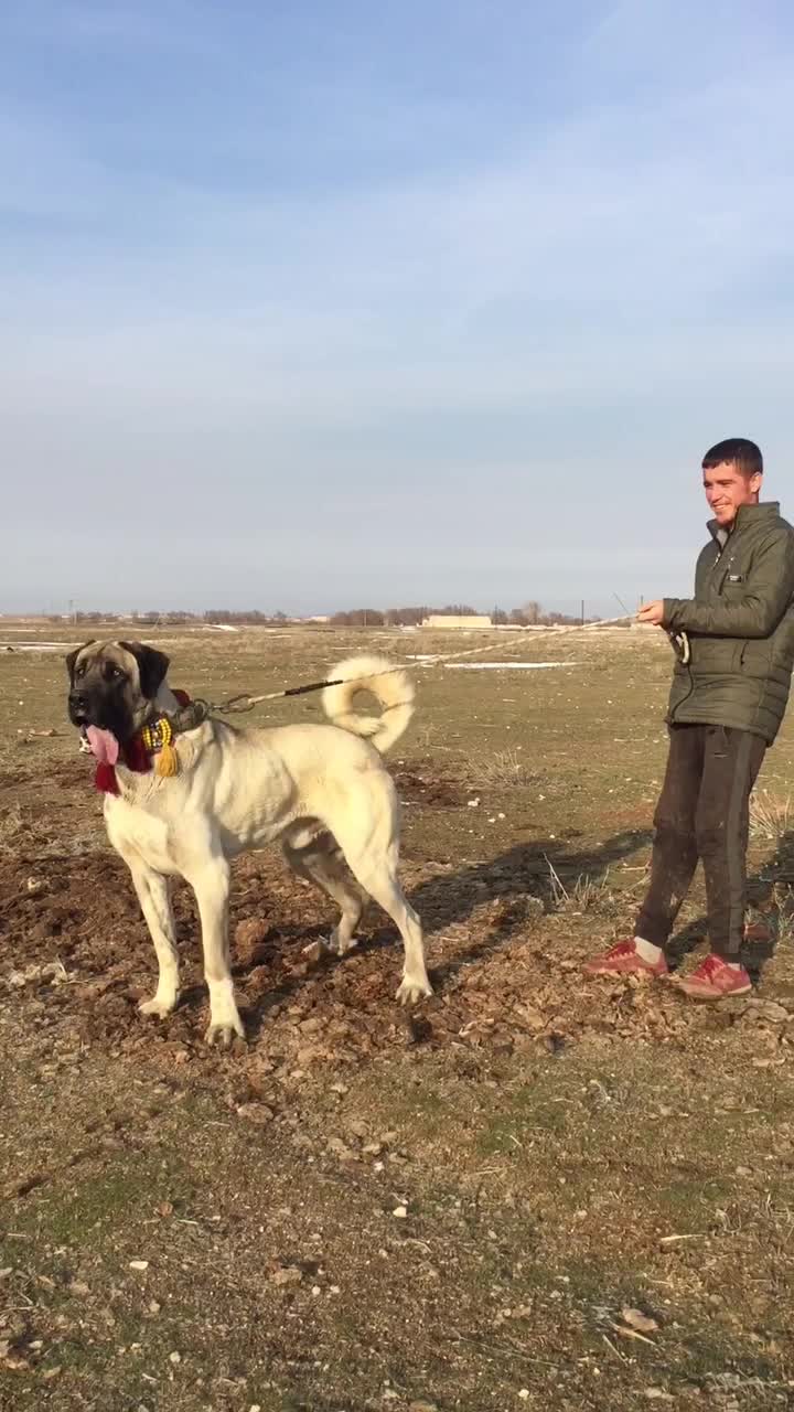 @🌹Kamuran Çimen🌹